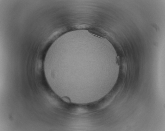 X0000113620308200910161959