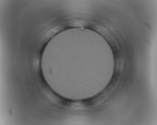 X0000113620309200910161959