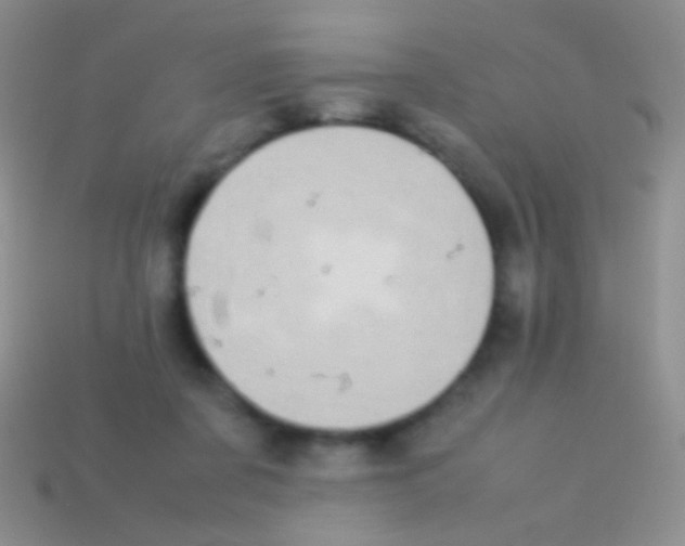 X0000113620311200910161959