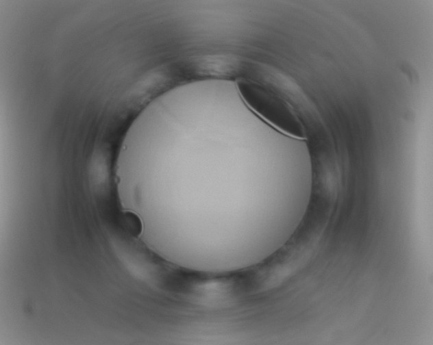 X0000113620312200910161959