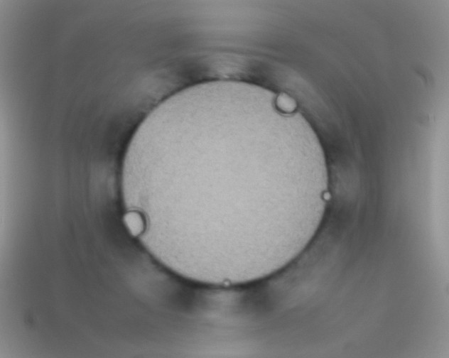 X0000113620313200910161959