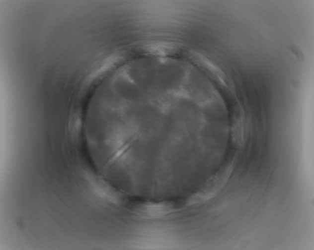 X0000113620314200910161959