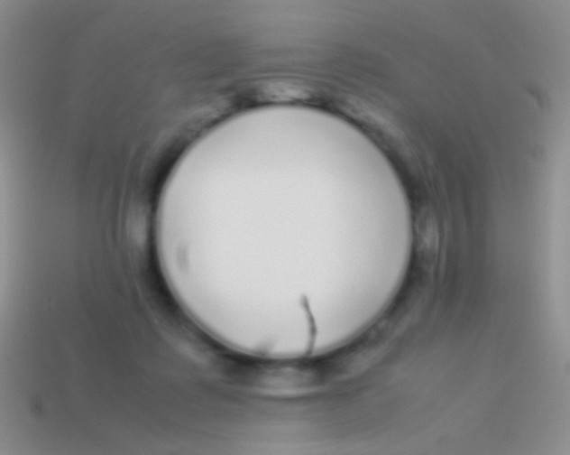 X0000113620315200910161959
