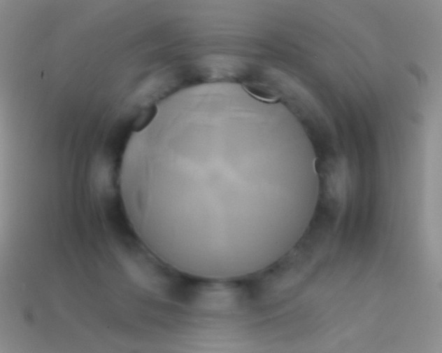 X0000113620316200910161959