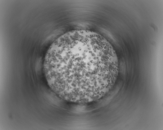 X0000113620318200910161959