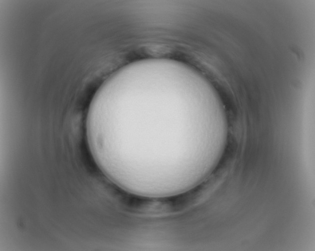 X0000113620319200910161959