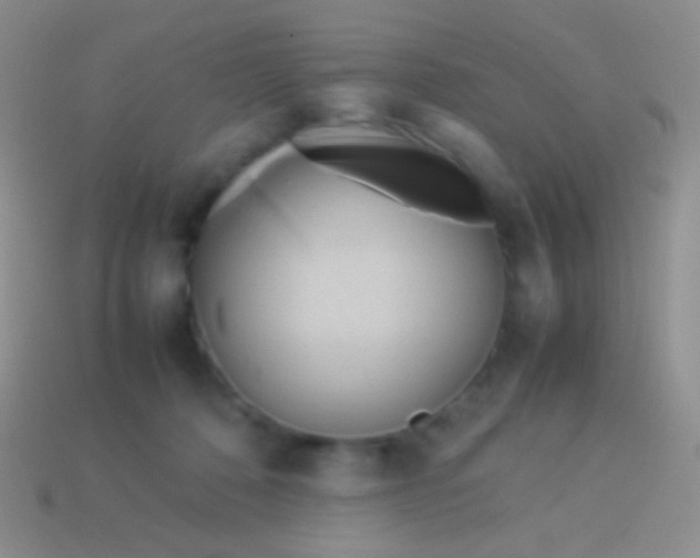 X0000113620320200910161959