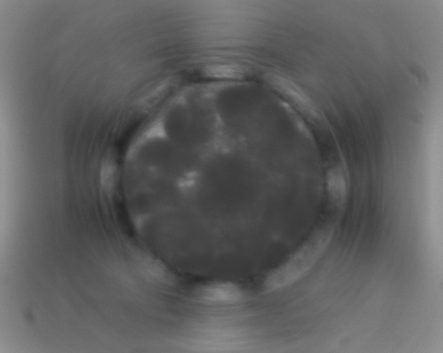 X0000113620322200910161959