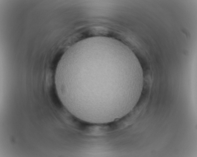 X0000113620323200910161959