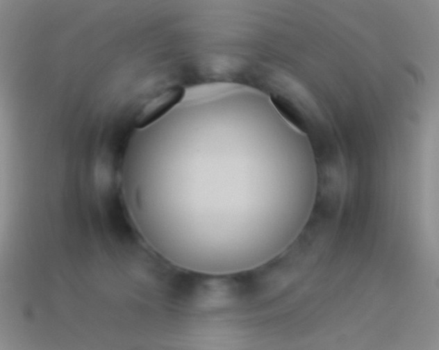 X0000113620324200910161959