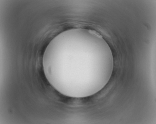 X0000113620325200910161959