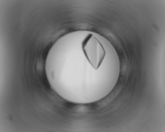 X0000113620326200910161959