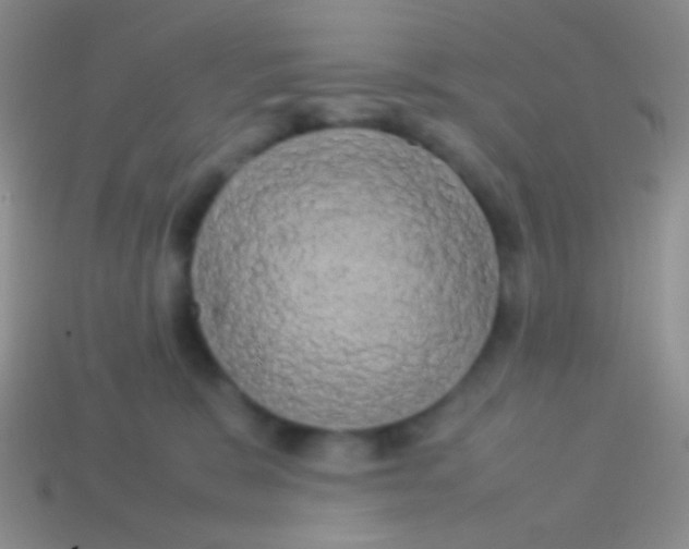 X0000113620327200910161959