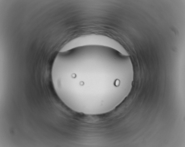 X0000113620328200910161959