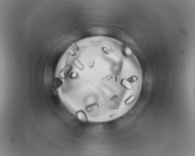 X0000113620330200910161959