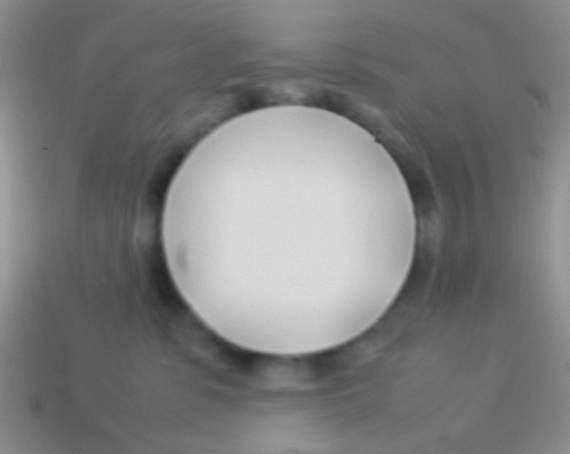 X0000113620331200910161959