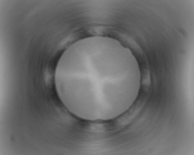 X0000113620332200910161959