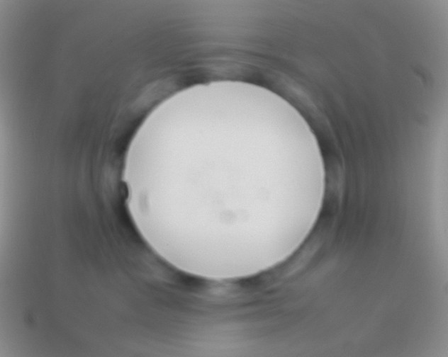 X0000113620333200910161959