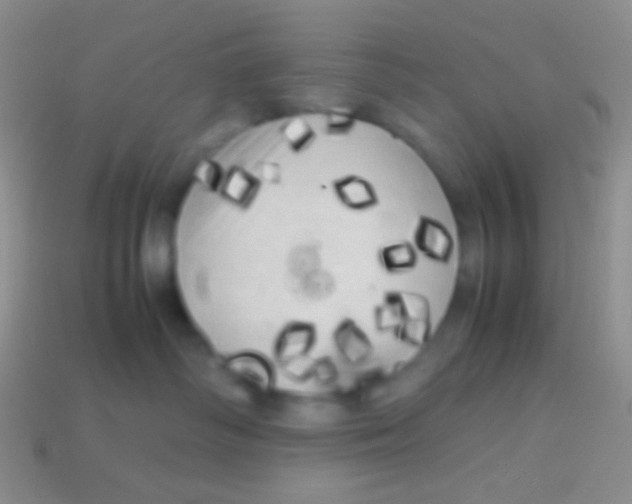 X0000113620334200910161959