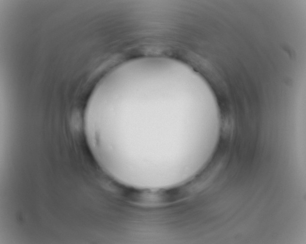 X0000113620335200910161958