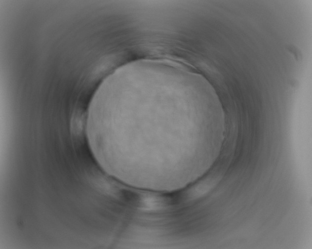 X0000113620336200910161958