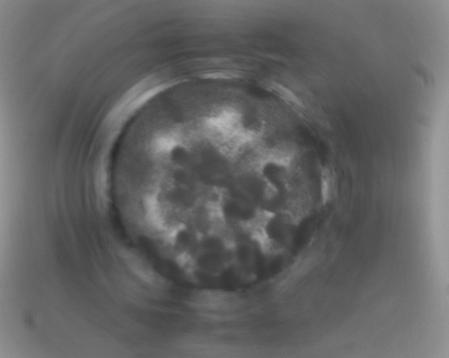 X0000113620339200910161958