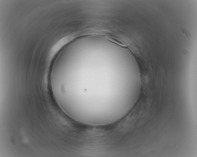 X0000113620340200910161958