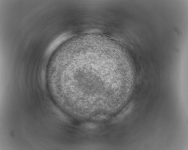 X0000113620341200910161958