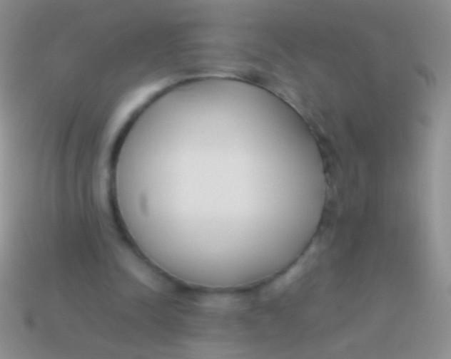 X0000113620342200910161958