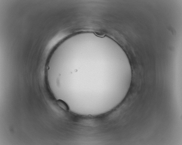 X0000113620344200910161958