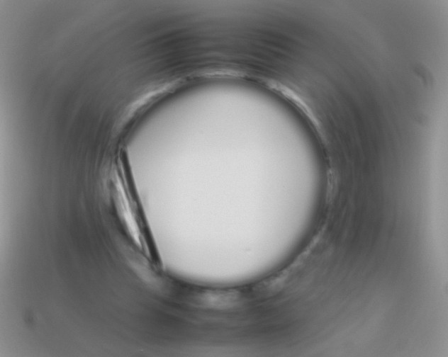 X0000113620345200910161958