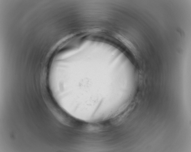 X0000113620346200910161958