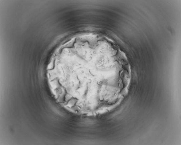 X0000113620347200910161958