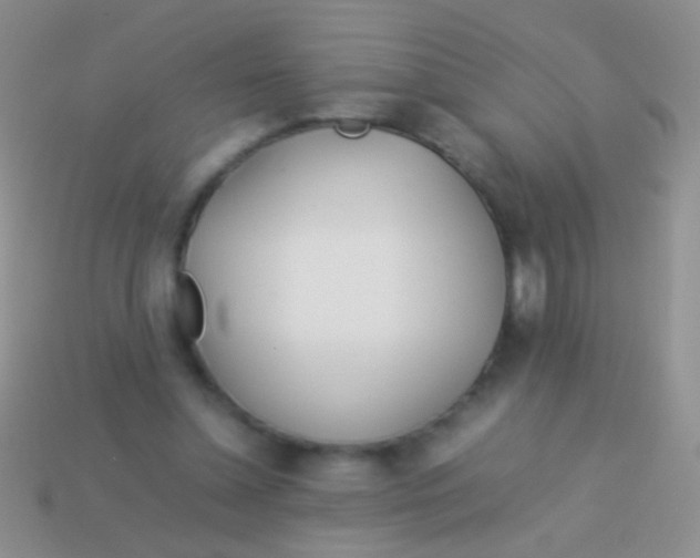 X0000113620348200910161958