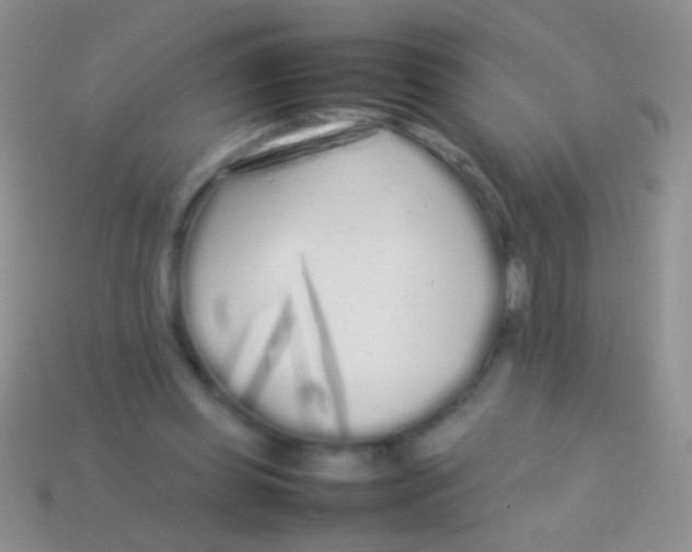 X0000113620349200910161958