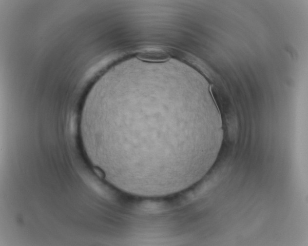 X0000113620350200910161958