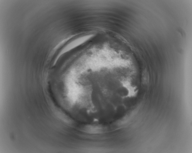 X0000113620351200910161958