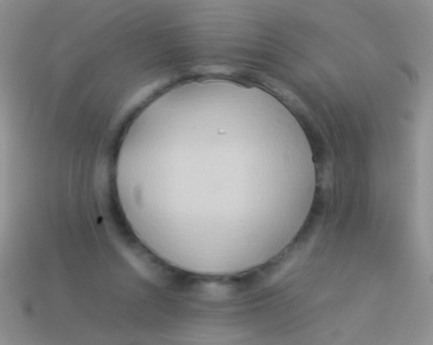 X0000113620352200910161958