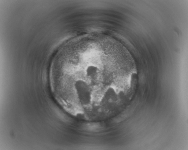 X0000113620353200910161958