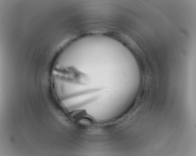 X0000113620354200910161958