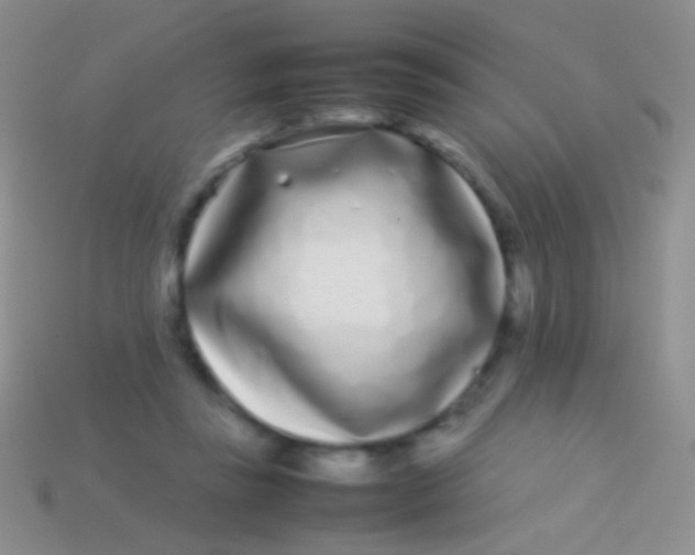 X0000113620355200910161958
