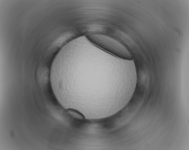 X0000113620356200910161958