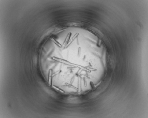 X0000113620357200910161958