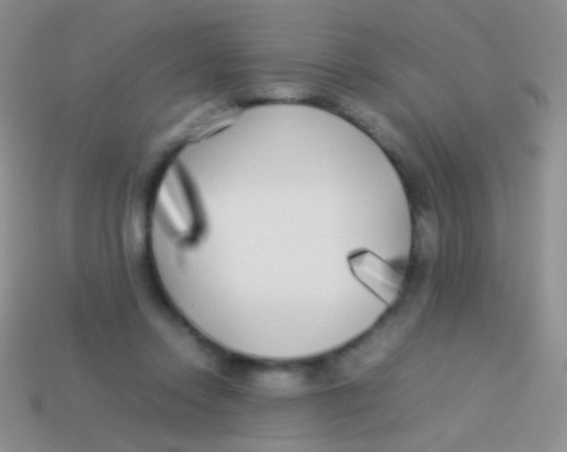 X0000113620358200910161958