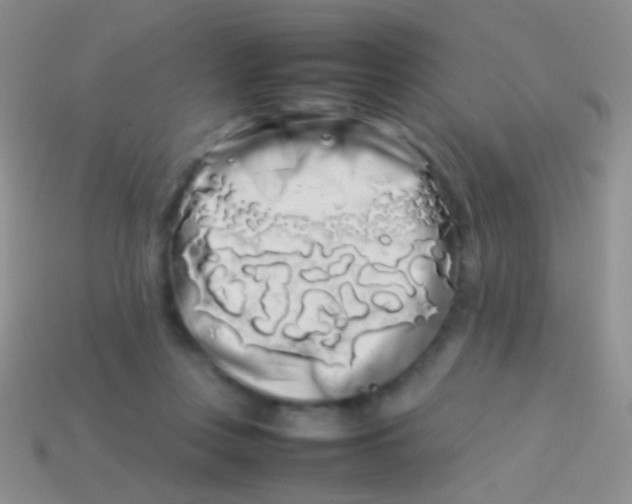 X0000113620359200910161958