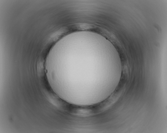 X0000113620360200910161958