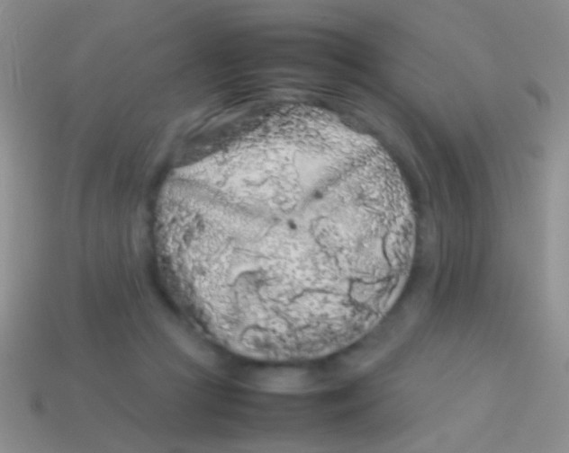 X0000113620361200910161958