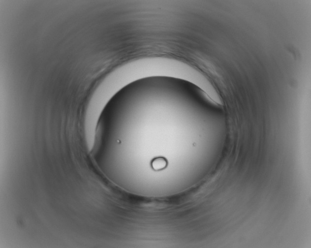 X0000113620362200910161958