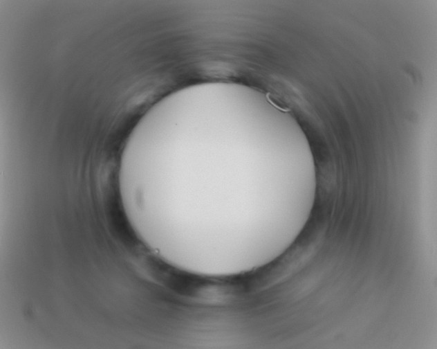 X0000113620364200910161958