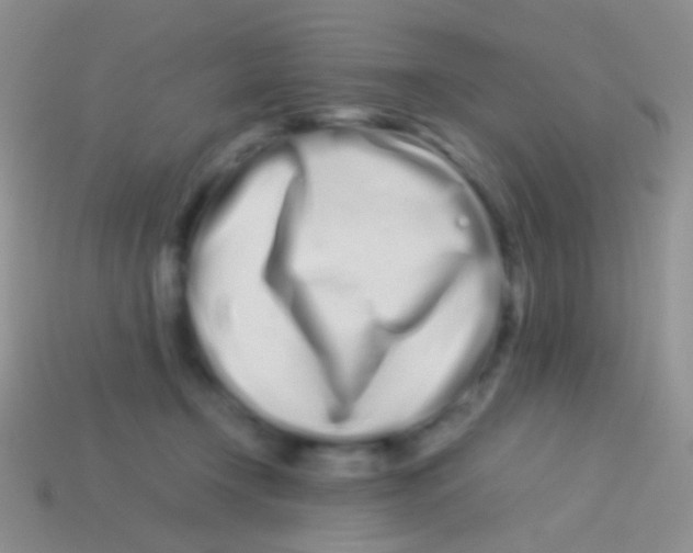 X0000113620366200910161958